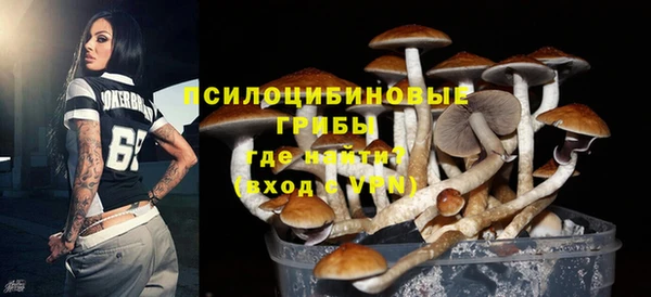 мяу мяу мука Балабаново